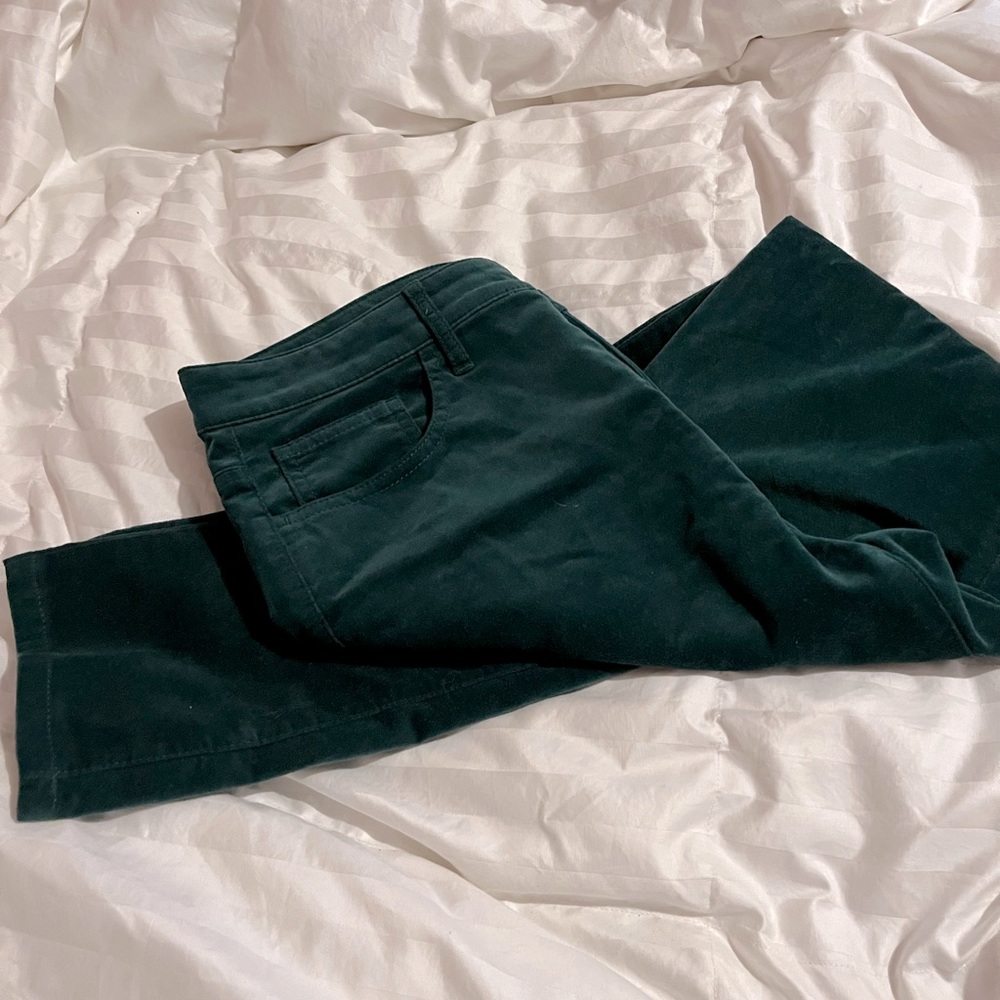 Talbot green velvety pants.